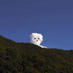 风流女运动员A片
