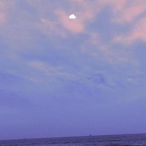 风流女运动员A片
